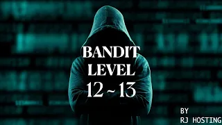 Bandit Level 12  - 13