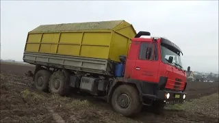 Siláže-4xTatra 815 Claas Jaguar 950 New Holland FR 650 Forage Cruiser a Zetor 5211