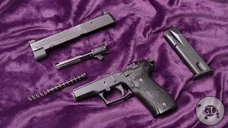 SIG Sauer P226 Pistol - Just Fieldstrip