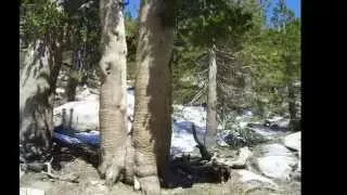 Mount San Jacinto Hiking (C.A.)