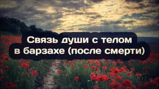 Связь души с телом в барзахе (после смерти) ¦¦ Абу Яхья