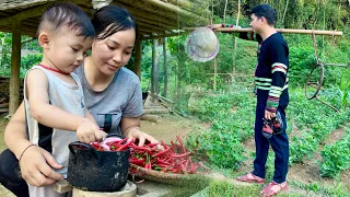 Pao wants to stay with Huong to take care of baby Bon - Huong harvests chili peppers on a rainy day