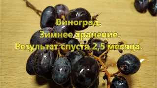 Виноград  Зимнее хранение  Результат спустя 2,5 месяца