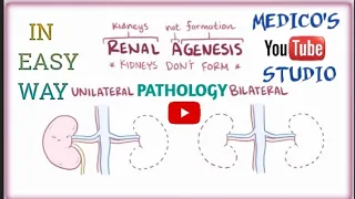 Renal Agenesis| Unilateral Agenesis| Bilateral Agenesis| Potter Sequence| Oligohydramnios| Pathology