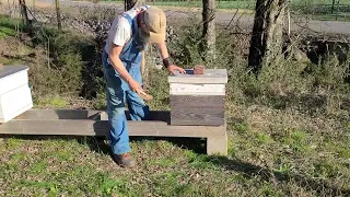 Hammer time STUPID things Beekeepers do!