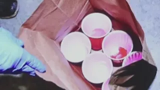 Karen Read trial: Police gathered blood evidence in red solo cups | Banfield