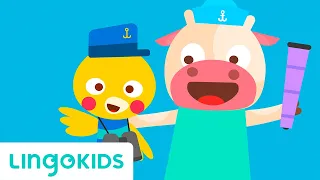 A Sailor Went to Sea - Song | Nursery Rhymes | Lingokids