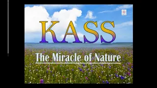 D_223E_Kass - The Miracle of Nature