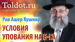 Рав Ашер Кушнир. Условия упования на Б-га. Обязанности сердец 65