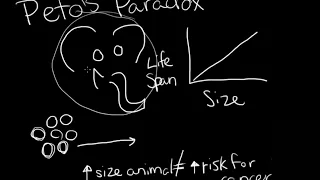 WHY DON'T ELEPHANTS GET CANCER? | Peto's Paradox
