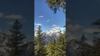 Spring in the Swiss Alps #7: The Joy of Sunshine and Mountains in Switzerland  ⛰️🌲☀️