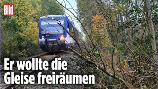 Sturm „Ignatz“ über Deutschland: Baum fällt auf Lokführer – schwer verletzt!
