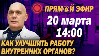 Как мышцы влияют на внутренние органы? Упражнения для улучшения работы органов