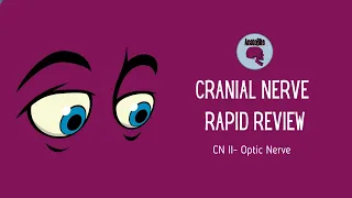 Rapid Review Cranial Nerves: CN II-Optic Nerve & Visual Pathway