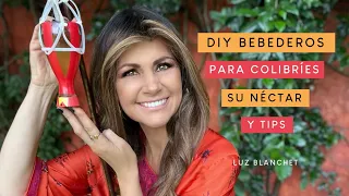 DIY BEBEDEROS PARA COLIBRÍES, SU NÉCTAR, LO QUE "SI" Y "NO" HACER / LUZ BLANCHET