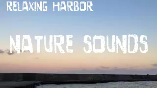 【nature sound】1hour relaxing sunset ocean sound - relaxation harbor