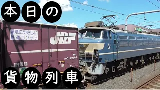 【本日の貨物列車】No.532　2021,12,31　第75番列車　Today‘s freight train　EF66-27号機！