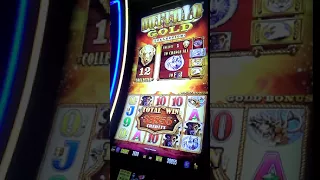 Aristocrat BUFFALO GOLD slot 1 $ big win @ Las Vegas Palace Station Casino