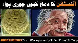 Einstein Ka Dimagh Kis Ne Chori kia -- Who Stole Einstein's Brain Baad e Naseem