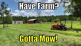 How to setup brush hog (bush hog) on compact tractor to mow 6 acres | E88