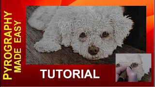 Wood burning - White Dog with Curly Fur pyrography tutorial