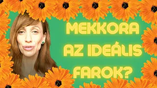 Mekkora az ideális farokméret?///Minél nagyobb, annál jobb? NEM