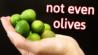 Chinese Olives - The Surprising Truth Behind This Much Misunderstood Fruit.