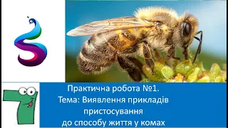 Практична робота №1 Тема: Виявлення прикладів пристосування до способу життя у комах