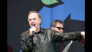 Neil Diamond Solitary Man (with lyrics)