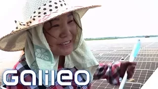 Die schwimmenden Solarfarmen Chinas | Galileo | ProSieben