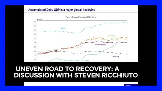 Macroeconomic Webinar Series: Uneven Road to Recovery: A Discussion with Steven Ricchiuto