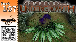 New Beta Levels! The Enemy Of My Enemy... | Empires of the Undergrowth - Part 107