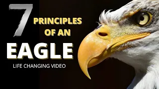 Seven Principles of An Eagle | Best Motivational Video | Mentality of Eagle | Channel Of Wisdom