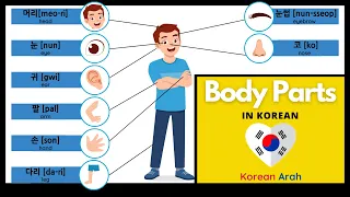 Body Parts In Korean | Korean Vocabulary For Beginners