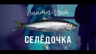 Анита Цой/Anita Tsoy - Тизер клипа "Селёдочка".