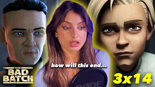 THE BAD BATCH: PENULTIMATE EPISODE  3x14 - Reaction!! (I can't believe it's almost over...)