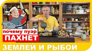 ПОЧЕМУ ПУЭР ПАХНЕТ РЫБОЙ ИЛИ ЗЕМЛЕЙ???