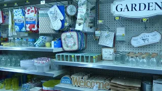 Dollar General 2024 Summer decor| Shop with me