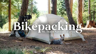 Our first BIKEPACKING trip with our dog | Mt. Hood National Forest, Oregon