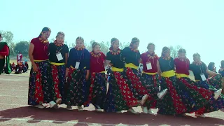 Tungna Ra Damphu | VN School & College | Teachers Dance Showcase | Kids Olympiad 2079 | DC Master JB