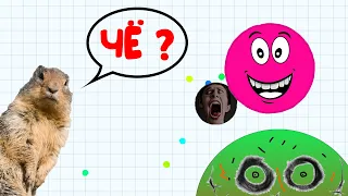 Шары поглатили меня в Agar.io