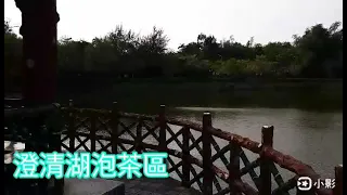 #高雄  #高雄旅遊             澄清湖泡茶區