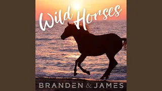 Wild Horses