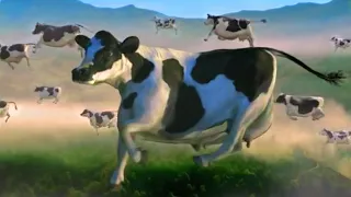 FUNNY COW DANCE 5 │ Cow Song Dance & Cow Videos 2024