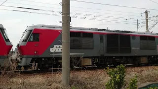 レア動画【レッドベア DF200の２連結】JR貨物列車 かっこいい！！