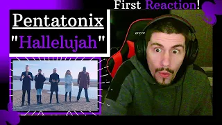 My very FIRST REACTION to PENTATONIX - "HALLELUJAH" and it was INSANE!!!