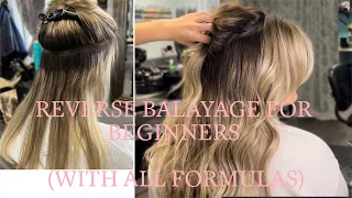 REVERSE BALAYAGE FOR BEGINNERS ( WITH ALL TONER FORMULAS )