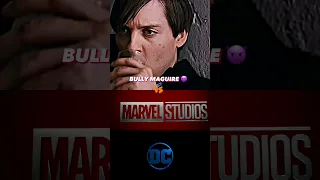 BULLY MAGUIRE vs MARVEL and DC UNIVERSE|| #shorts|#bullymaguire||#marvel|#dc||#battleshorts|thankyou