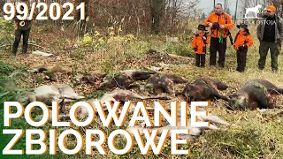 SUDECKA OSTOJA 99/2021 Polowanie Zbiorowe. Driven Hunt in Poland. chasse en Battue de sanglier