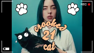 Кривой Кот (Сrooked Cat) Смешные коты#21 😹 Приколы с котами лучшее